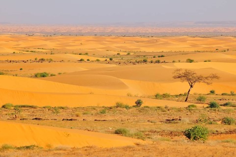 Desert landscape with sand dunes