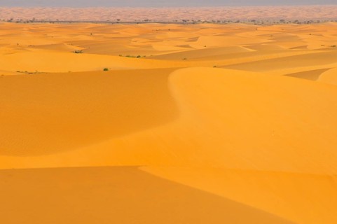 Desert landscape with sand dunes