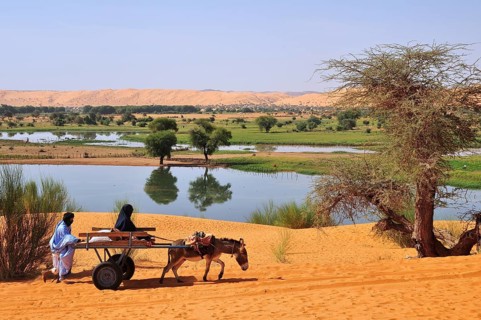 Donkey cart being pushed through the soft sand