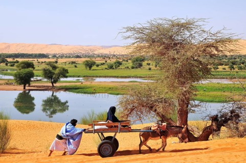 Donkey cart being pushed through the soft sand