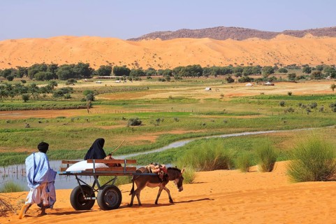Donkey cart being pushed through the soft sand