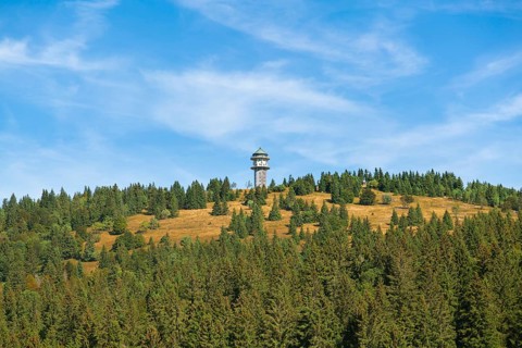 Feldbergturm Tower on Mt Feldberg