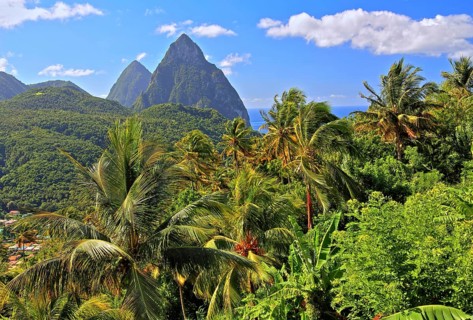 Tropical landscape with the two Pitons