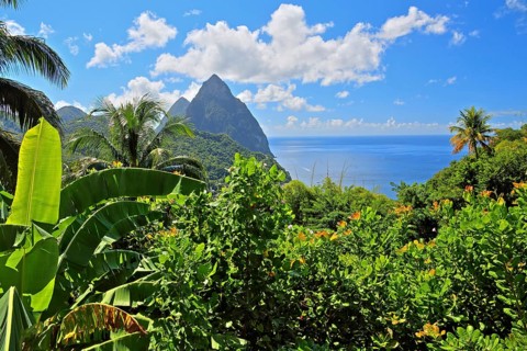 Tropical landscape with the two Pitons