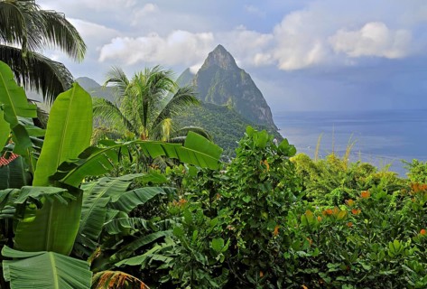Tropical landscape with the two Pitons