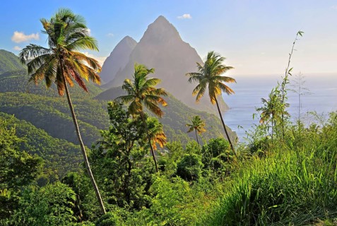 Tropical landscape with the two Pitons