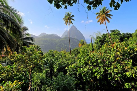 Tropical landscape with the two Pitons