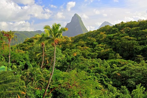 Tropical landscape with the two Pitons