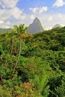 Tropical landscape with the two Pitons