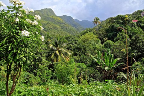 Tropical mountain scenery near the fishing village of Canaries