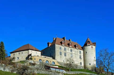 Gruyeres Castle