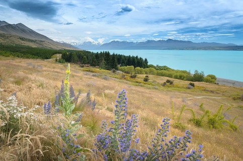 Lake Pukaki and Mount Cook National Park