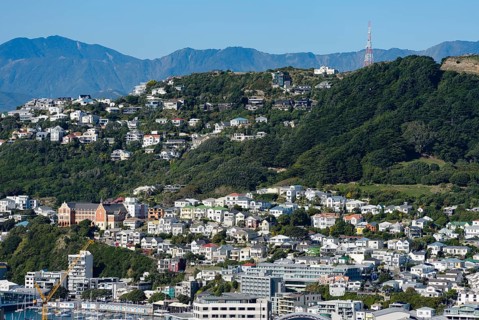 Oriental Bay suburb