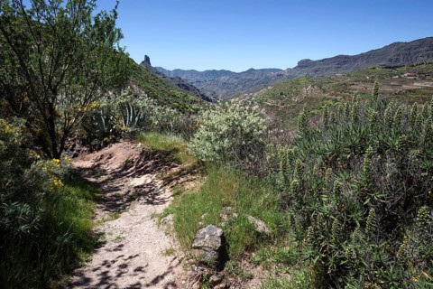Hiking trail below the Roque Nublo