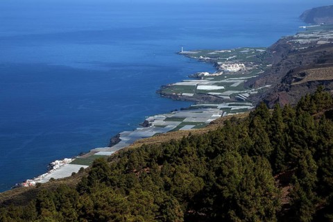 View onto banana plantations and Puerto Naos
