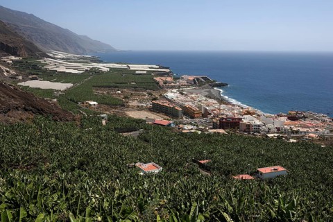 View onto banana plantations and Puerto Naos