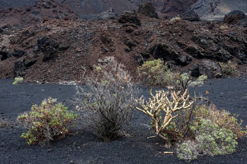 Volcanic landscape