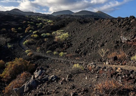 Track through the volcanic landscape with typical vegetation
