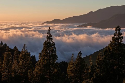 View onto Passat clouds above the Valle Aridane