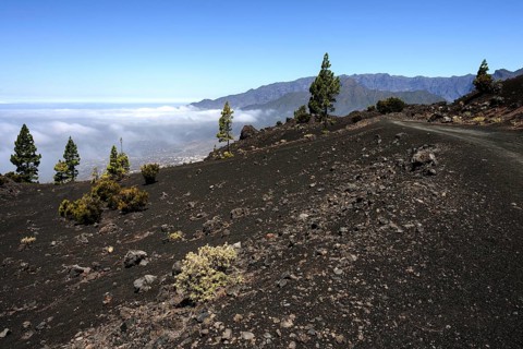Volcanic landscape in the Parque Natural de Cumbre Vieja