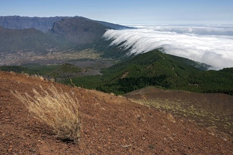 View from Pico Birigoyo onto the pine forest and the waterfall of clouds above the Cumbre Nueva