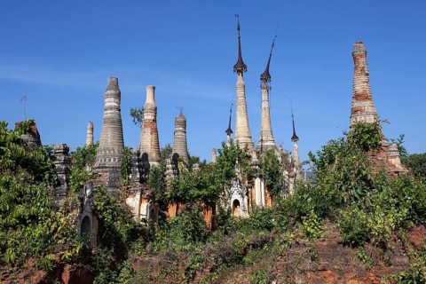 Pagoda Forest