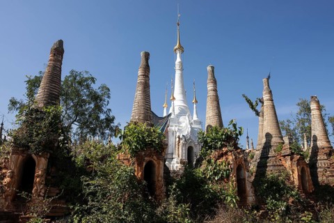 Pagoda Forest
