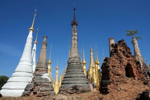 Pagoda Forest
