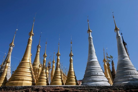 Pagoda Forest