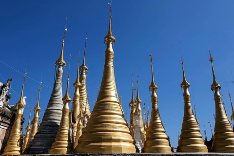 Pagoda Forest