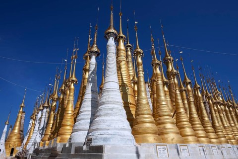 Pagoda Forest