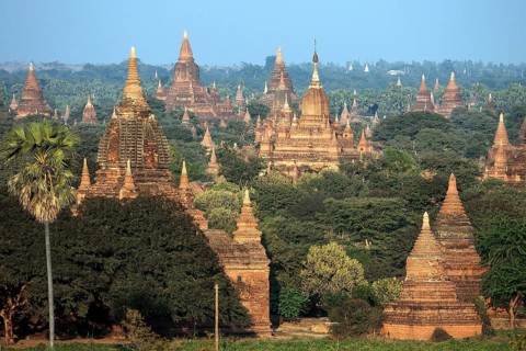 View of pagodas
