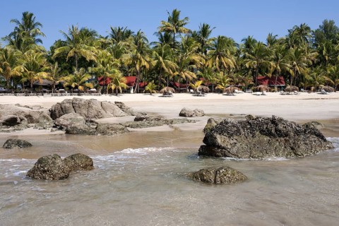 Sea