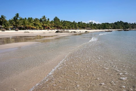 Sea