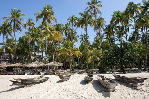 Beach with old parasols and fishing boats under palm trees in Ngapali Beach