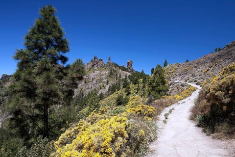 Walking path to Roque Nublo