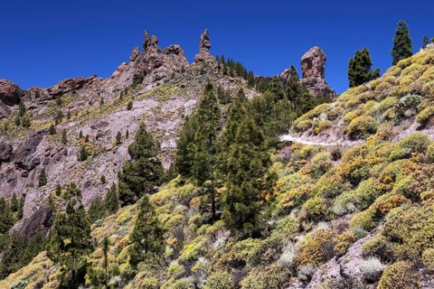 Walking path to Roque Nublo