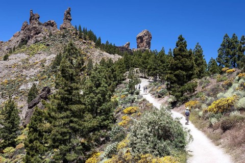 Walking path to Roque Nublo