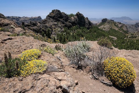 View from the hiking route to Roque Nublo Mountain to the west of Gran Canaria