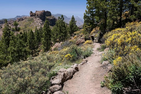 Trail around the Roque Nublo