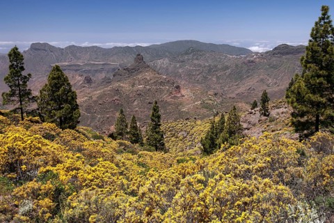 View from the trail to the Roque Nublo