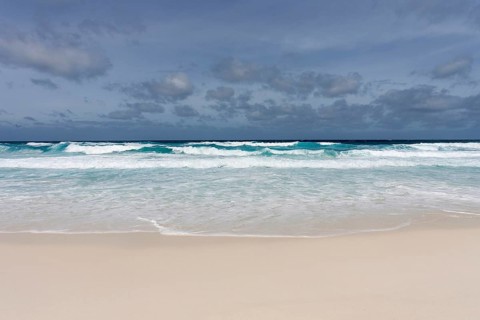 Beach and the sea
