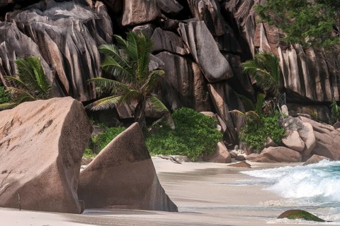 Beach with granite rocks and palm trees