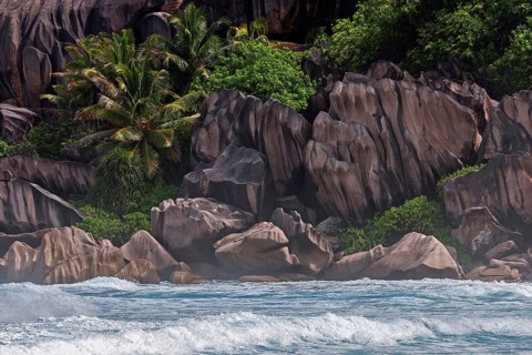 Sea with granite rocks and palm trees
