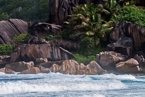Sea with granite rocks and palm trees