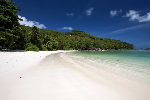 Dreamlike white sand beach with palm trees