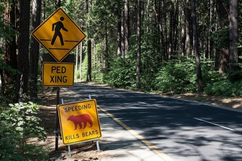 Traffic signs
