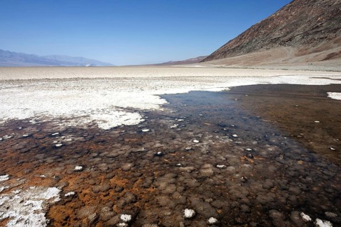 Salt crust in Badwater Basin salt pan