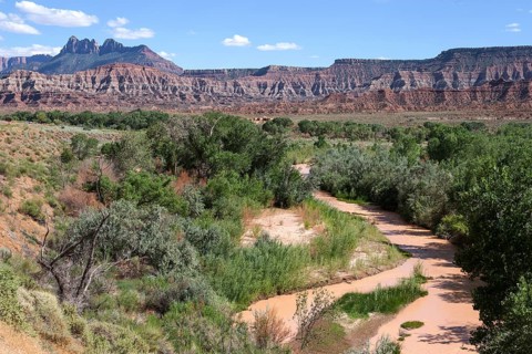 View towards Virgin Valley
