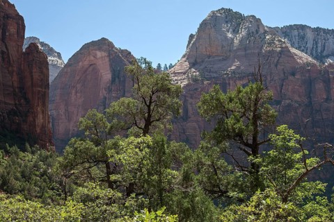 View towards vegetation and sandstone cliffs from Emerald Pools Trail